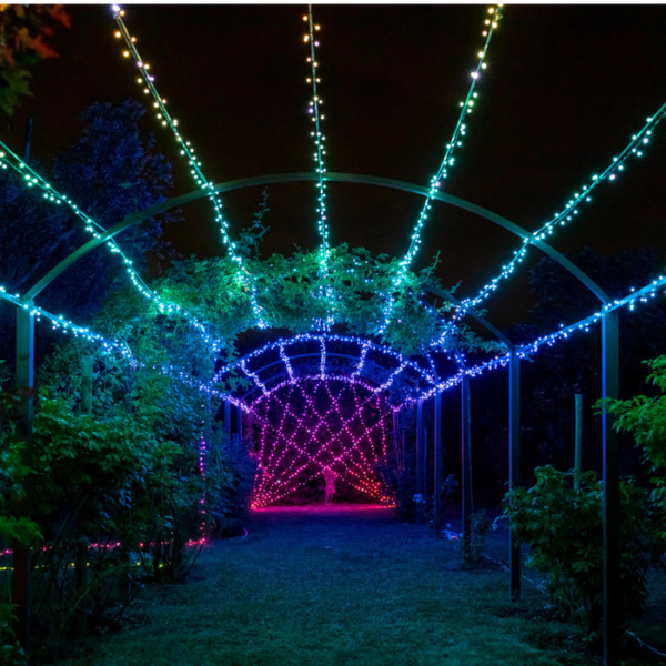 Twinkly|Strings Smart LED Lights 100 RGB (Multicolor), 8m, Black wire|RGB – 16M+ colors - Image 7